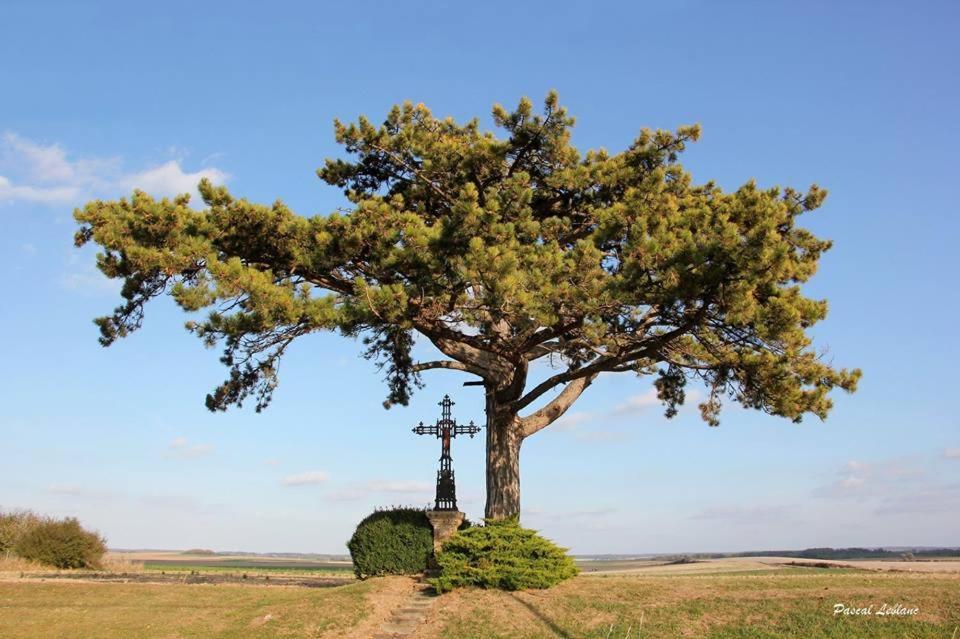 Du Pied Des Monts